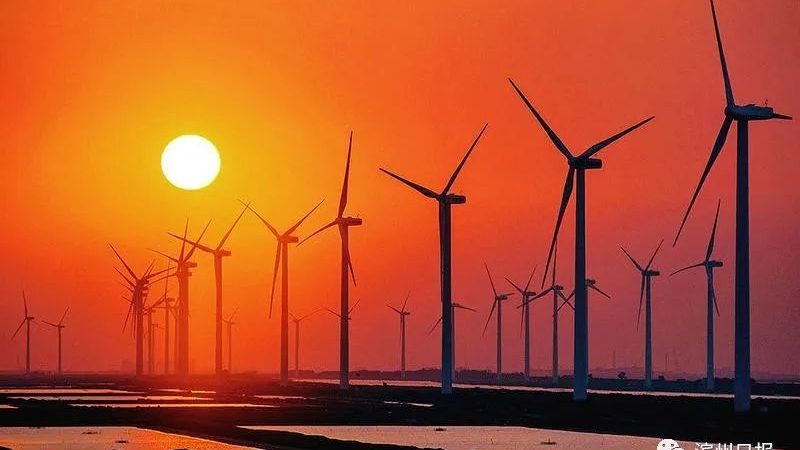 地面光伏电站招标流程：关键环节与注意事项
